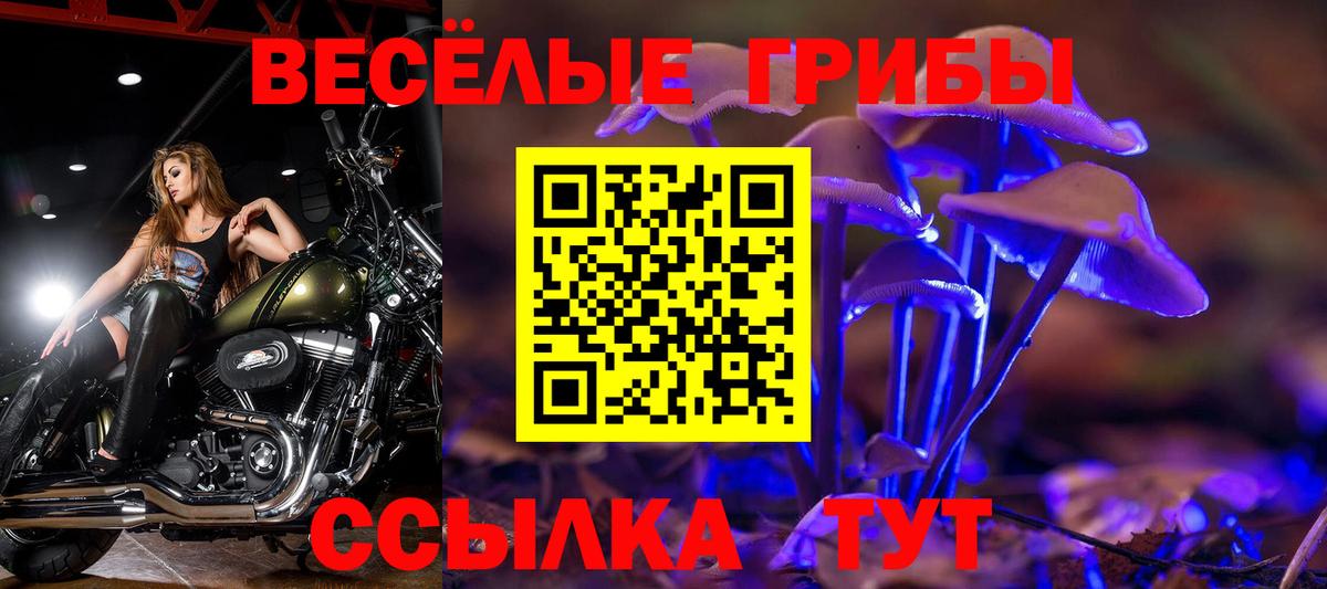 Галлюциногенные грибы мухоморы Иваново